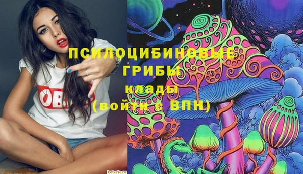 герыч Надым